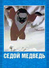 Седой медведь