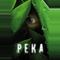 Река
